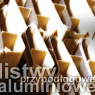 listwy aluminiowe